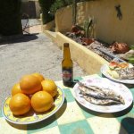 Orangen Fisch Meeresfrucht Sardinen Sagres Bier happt hour Preise hier anfragen Algarve